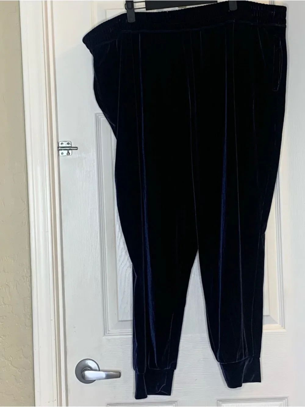 Fabletics Daria Midnight Blue Velour Joggers Size 4X